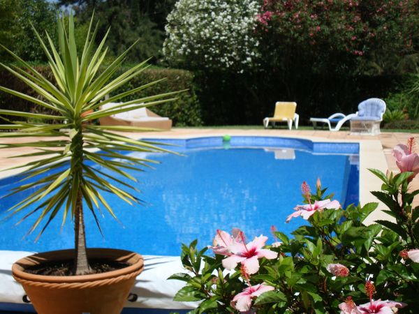 Pool Terrace Renovation Service